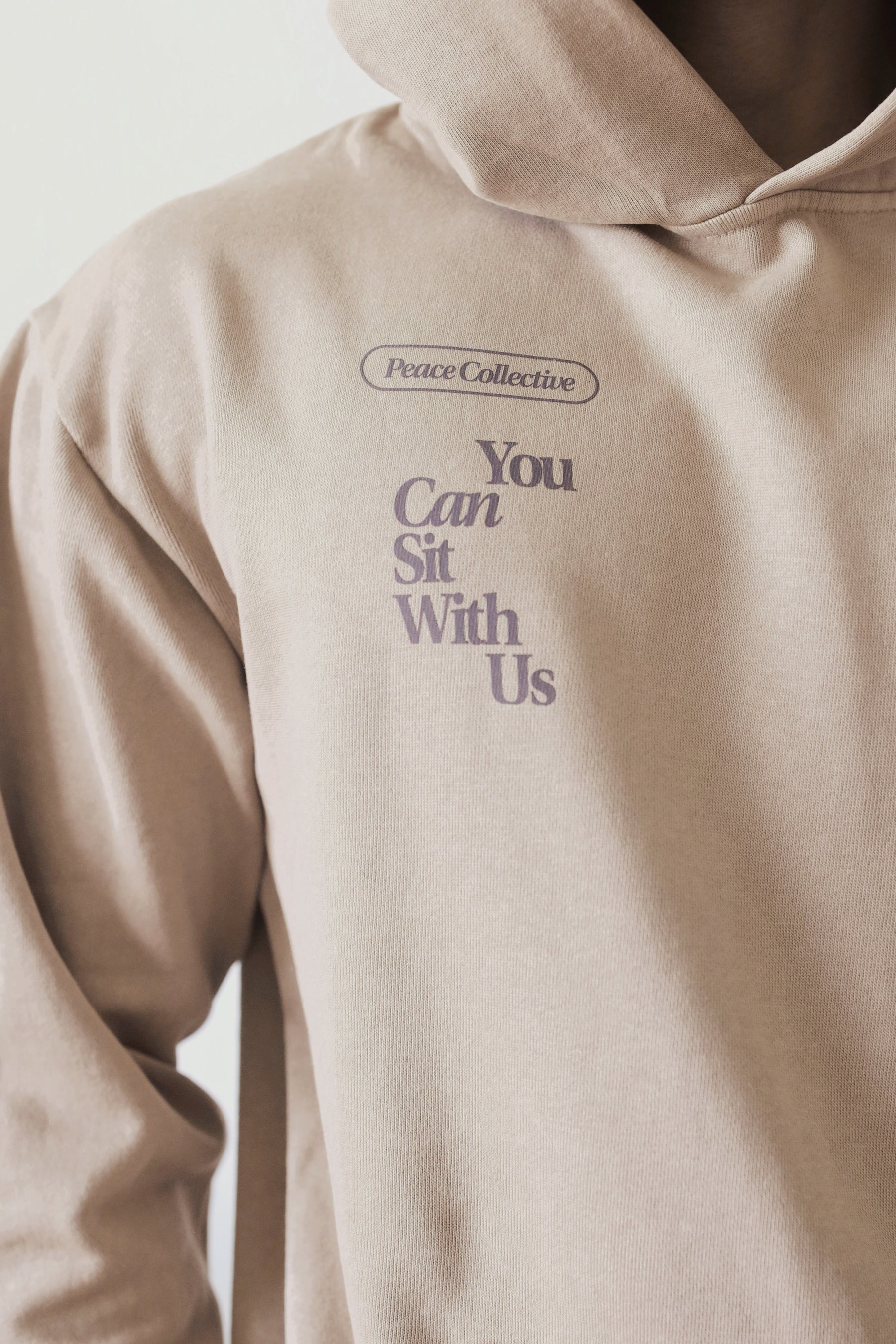You Can Sit With Us Heavyweight Hoodie - Burro