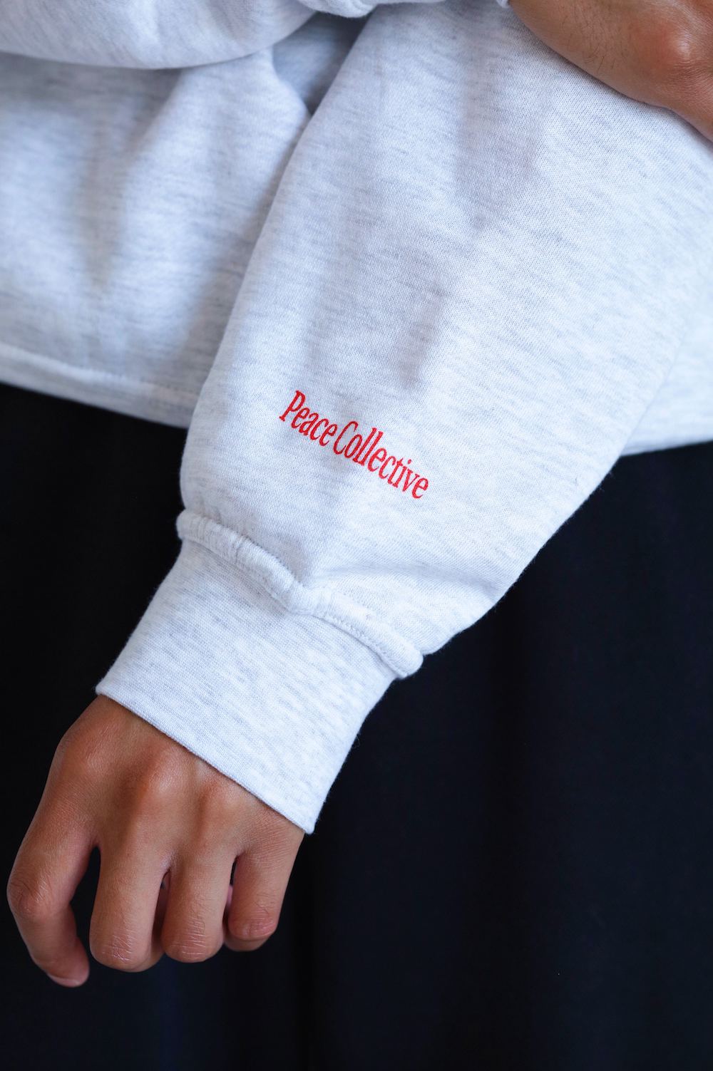Where Did Our Imagination Go? Crewneck - Ash