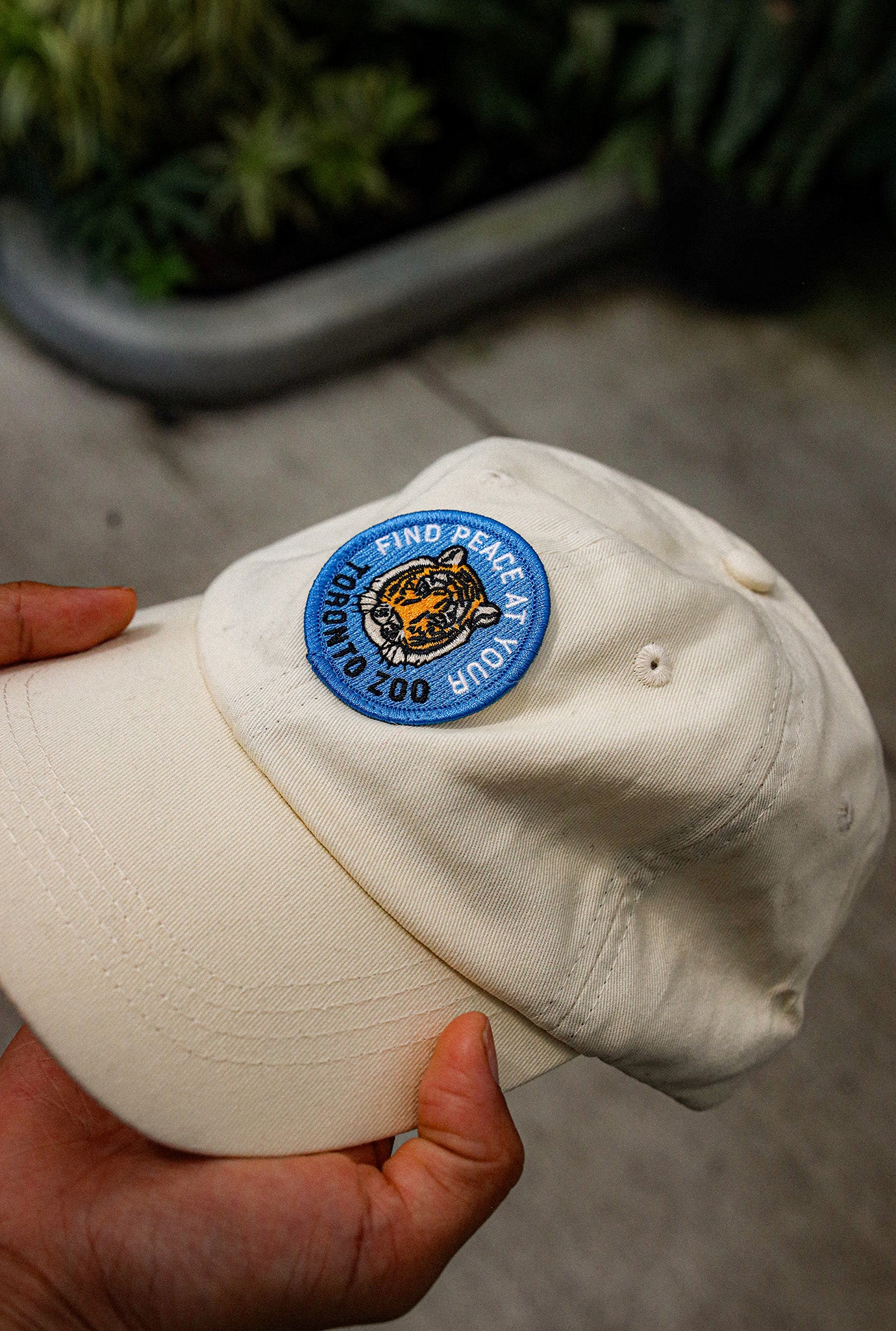 Toronto Zoo Tiger Dad Cap - Ivory