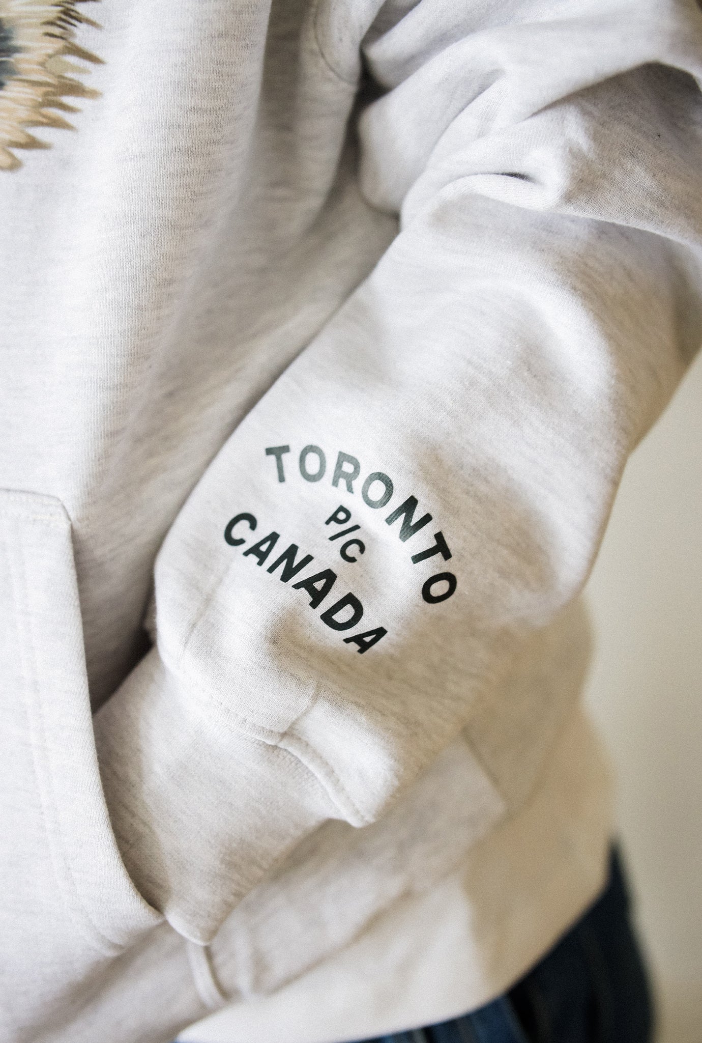 Toronto Trash Teddy Heavyweight Hoodie - Ash