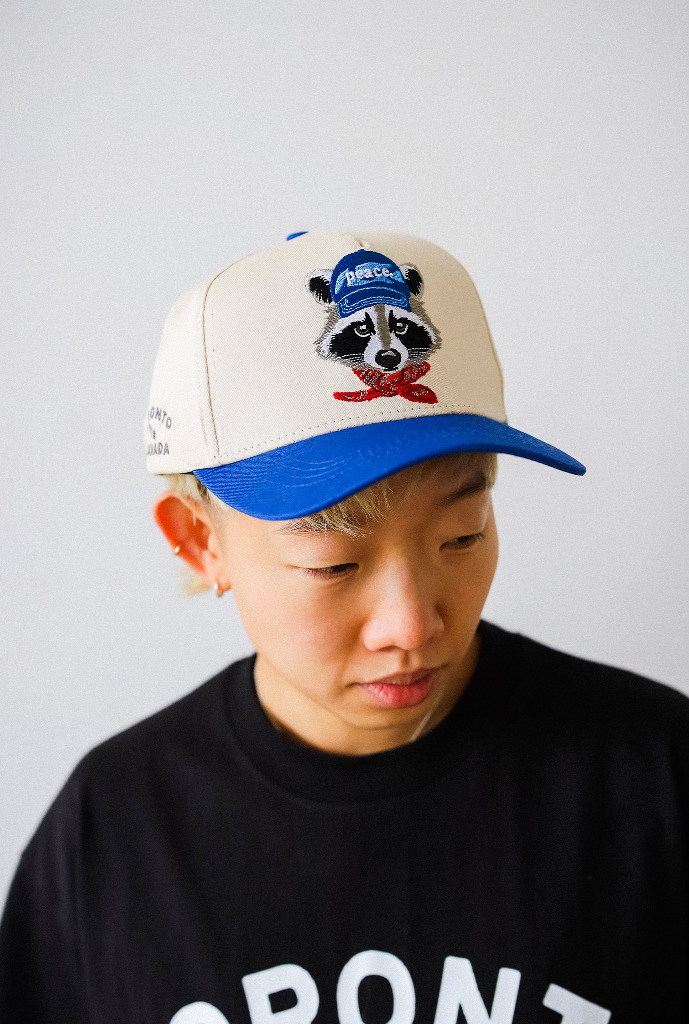 Toronto Trash Teddy A-Frame Cap - Royal