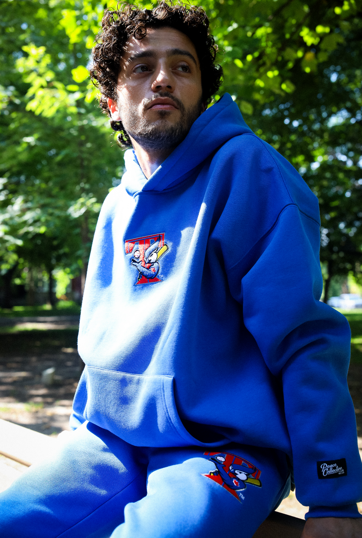 Toronto Blue Jays Vintage Heavyweight Hoodie - Royal
