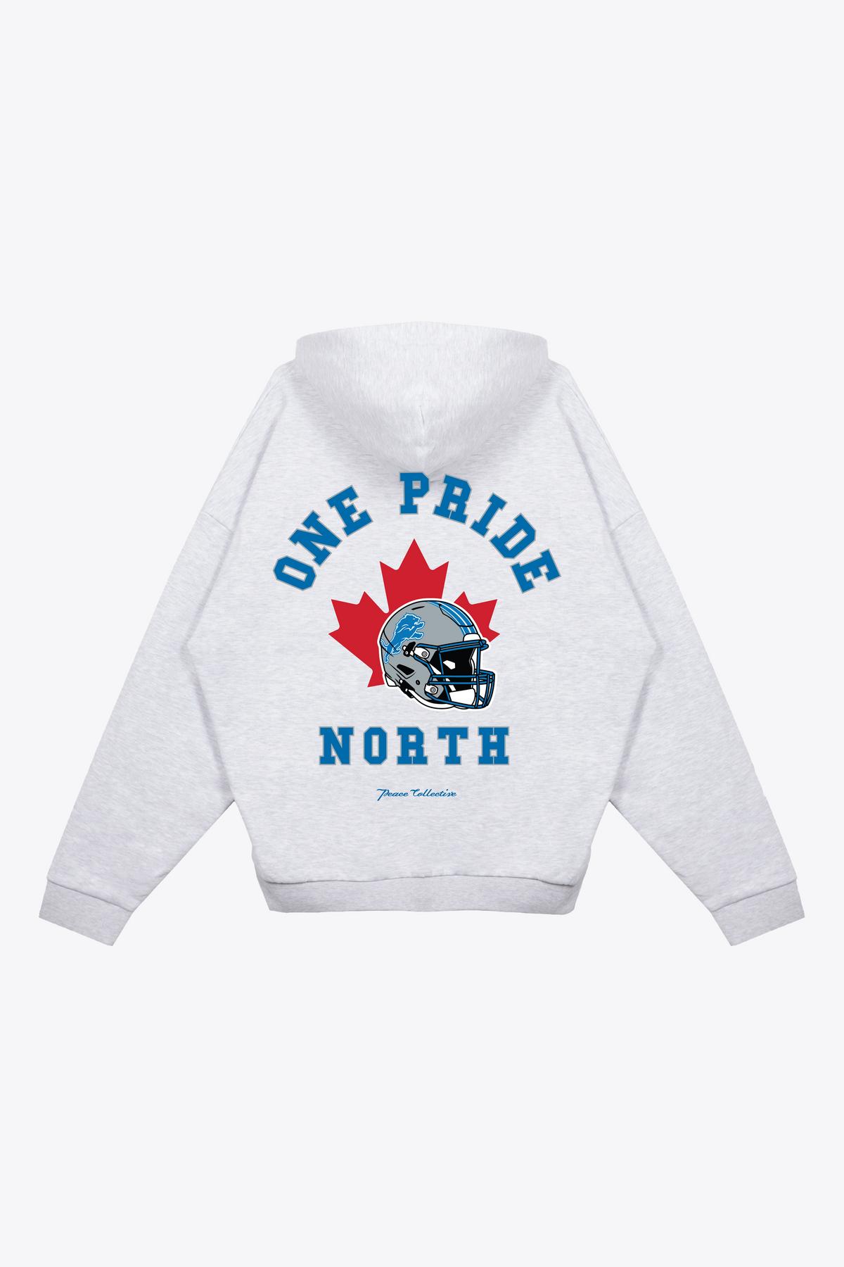 Detroit Lions One Pride North Heavyweight Hoodie - Ash