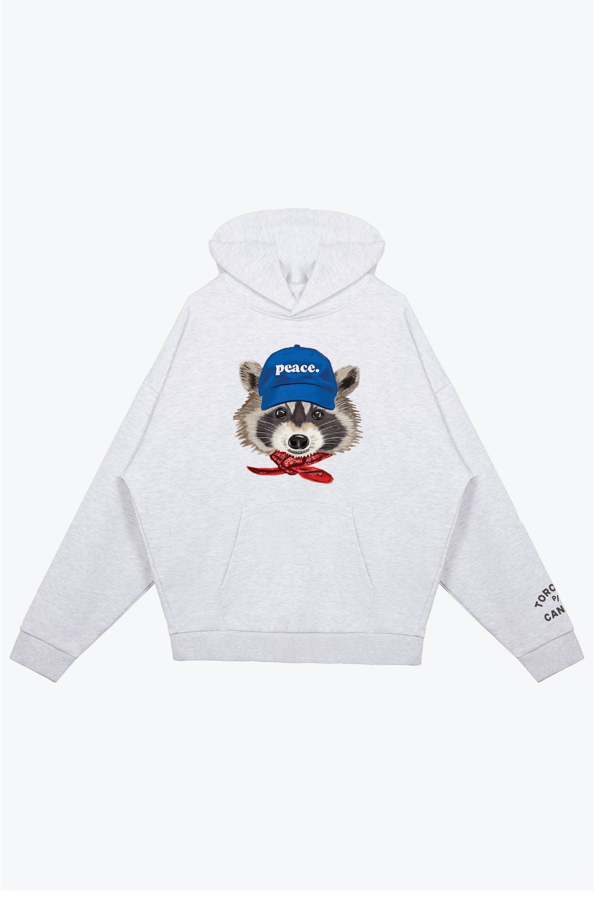 Toronto Trash Teddy Heavyweight Hoodie - Ash