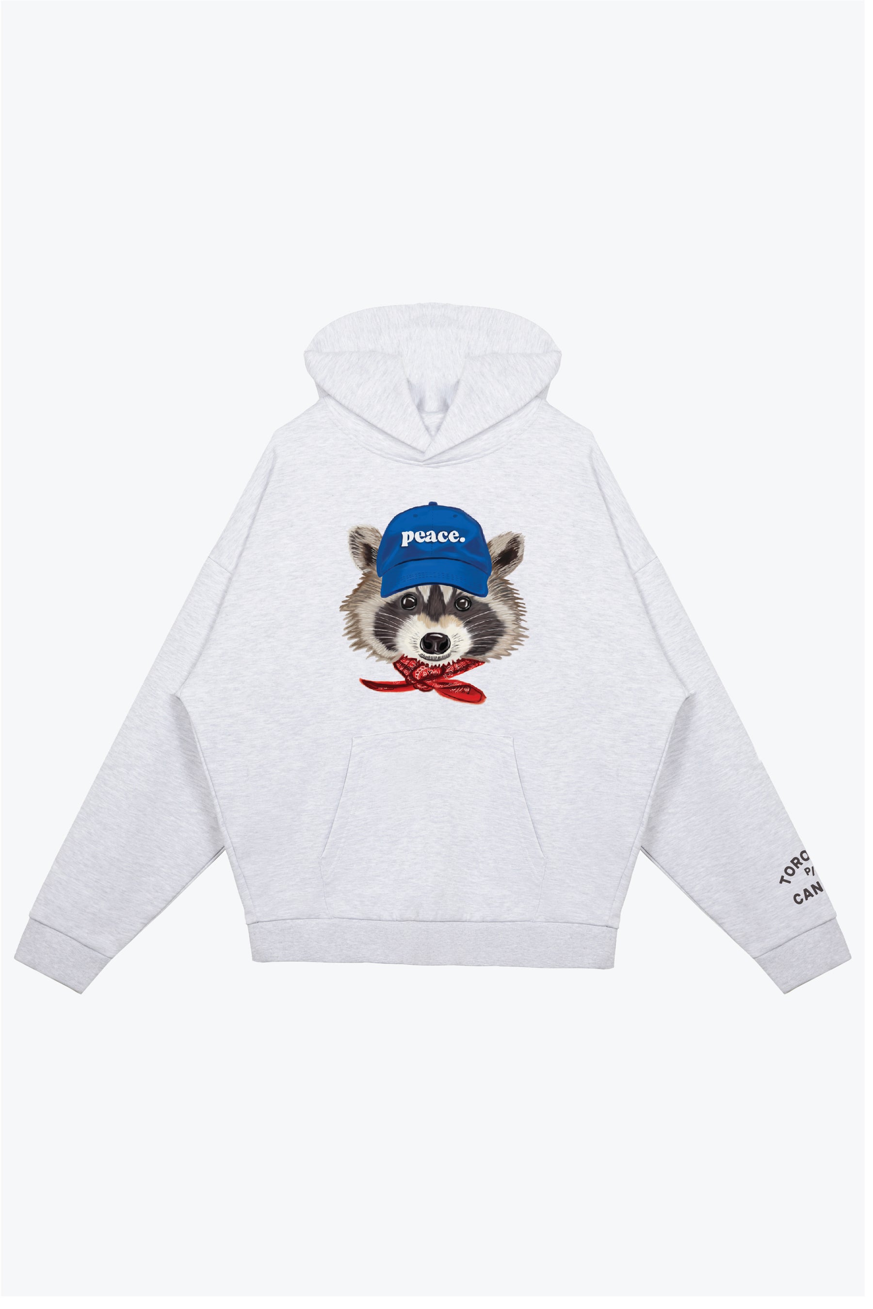 Toronto Trash Teddy Heavyweight Hoodie - Ash