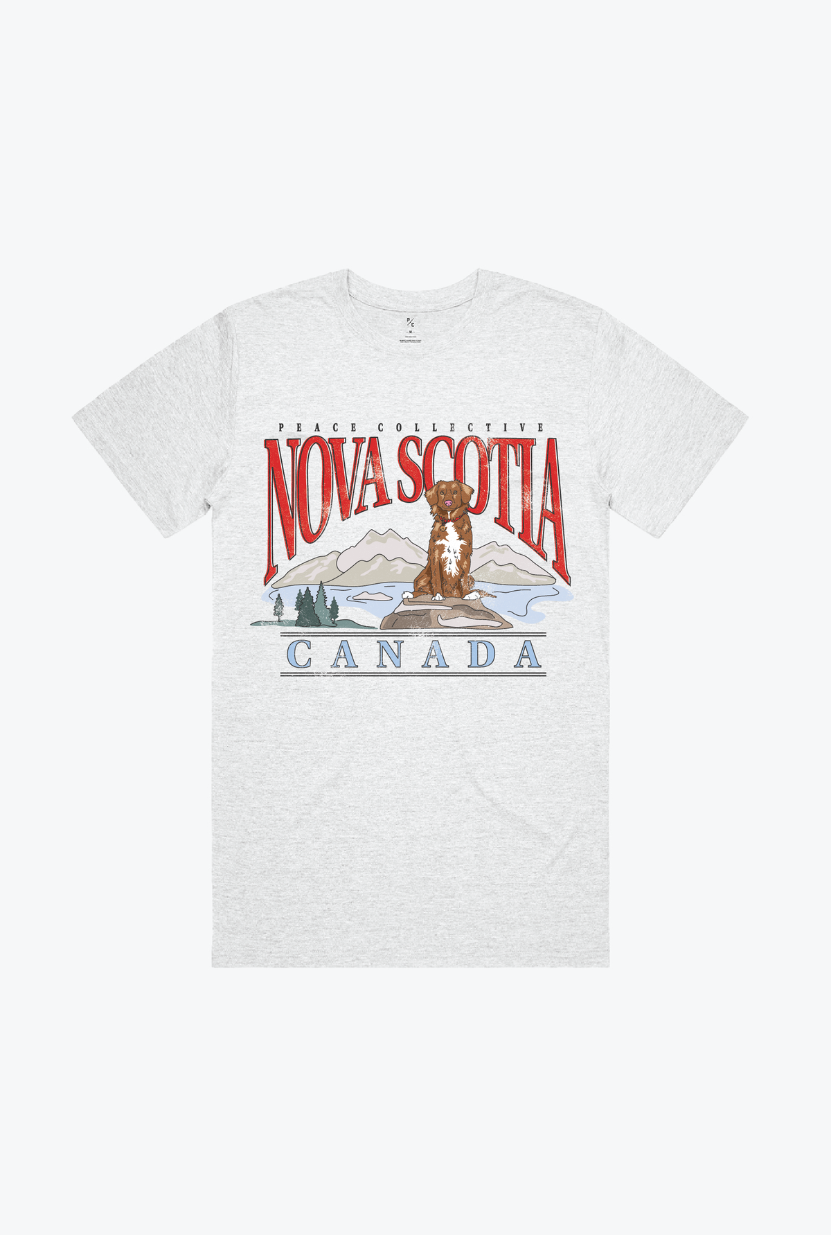 Nova Scotia Retriever Vintage T-Shirt - Asche