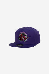 Toronto Raptors Team Ground 2.0 Fitted HWC - Purple