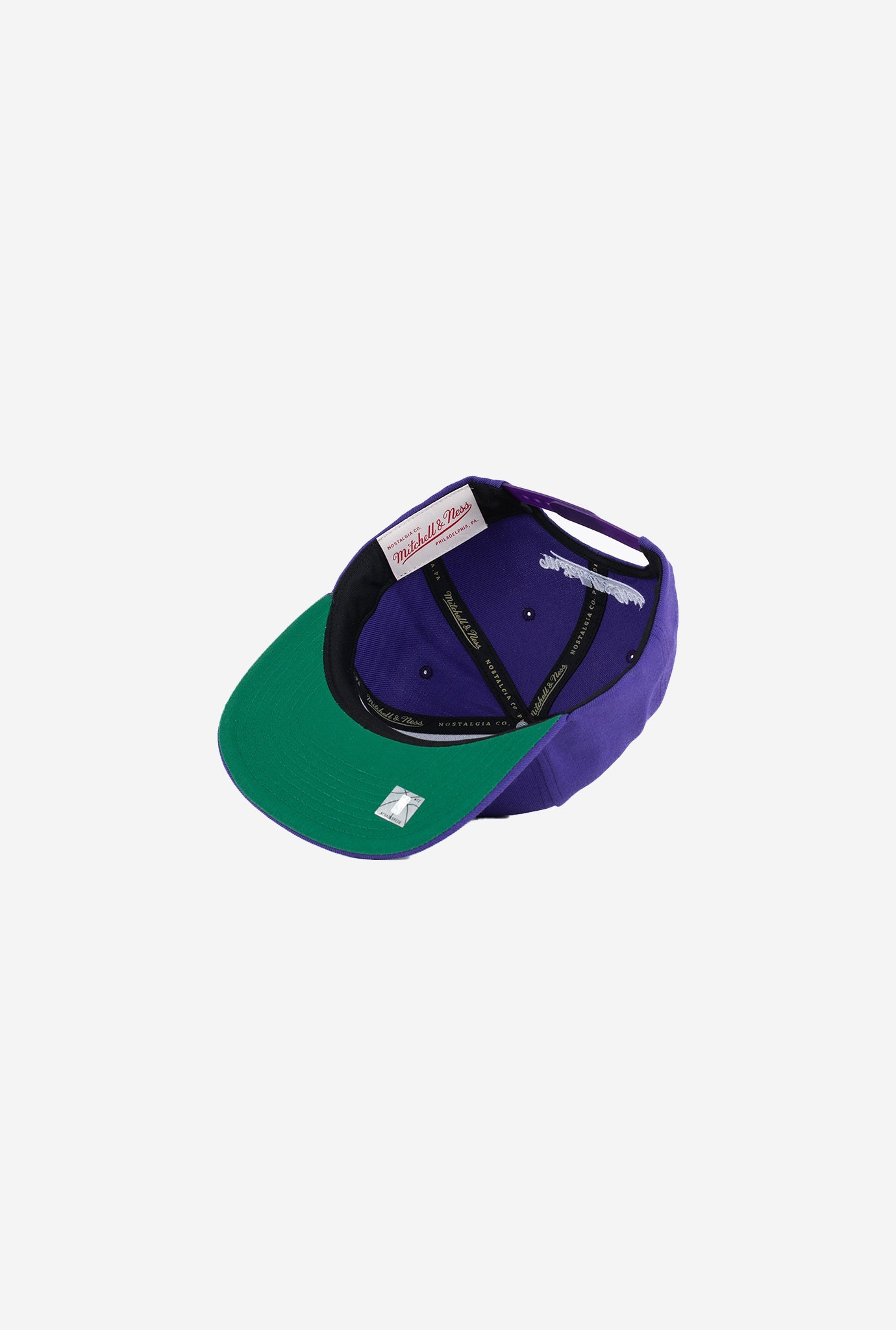 Toronto Raptors Team Ground 2.0 Stretch Snapback HWC - Purple