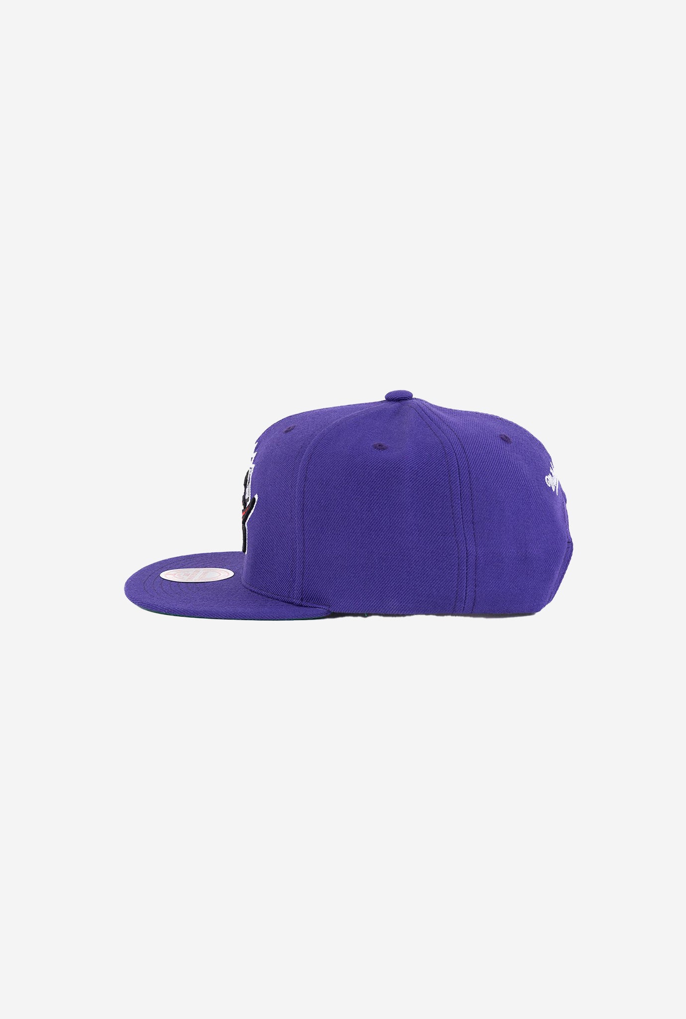Toronto Raptors Team Ground 2.0 Stretch Snapback HWC - Purple