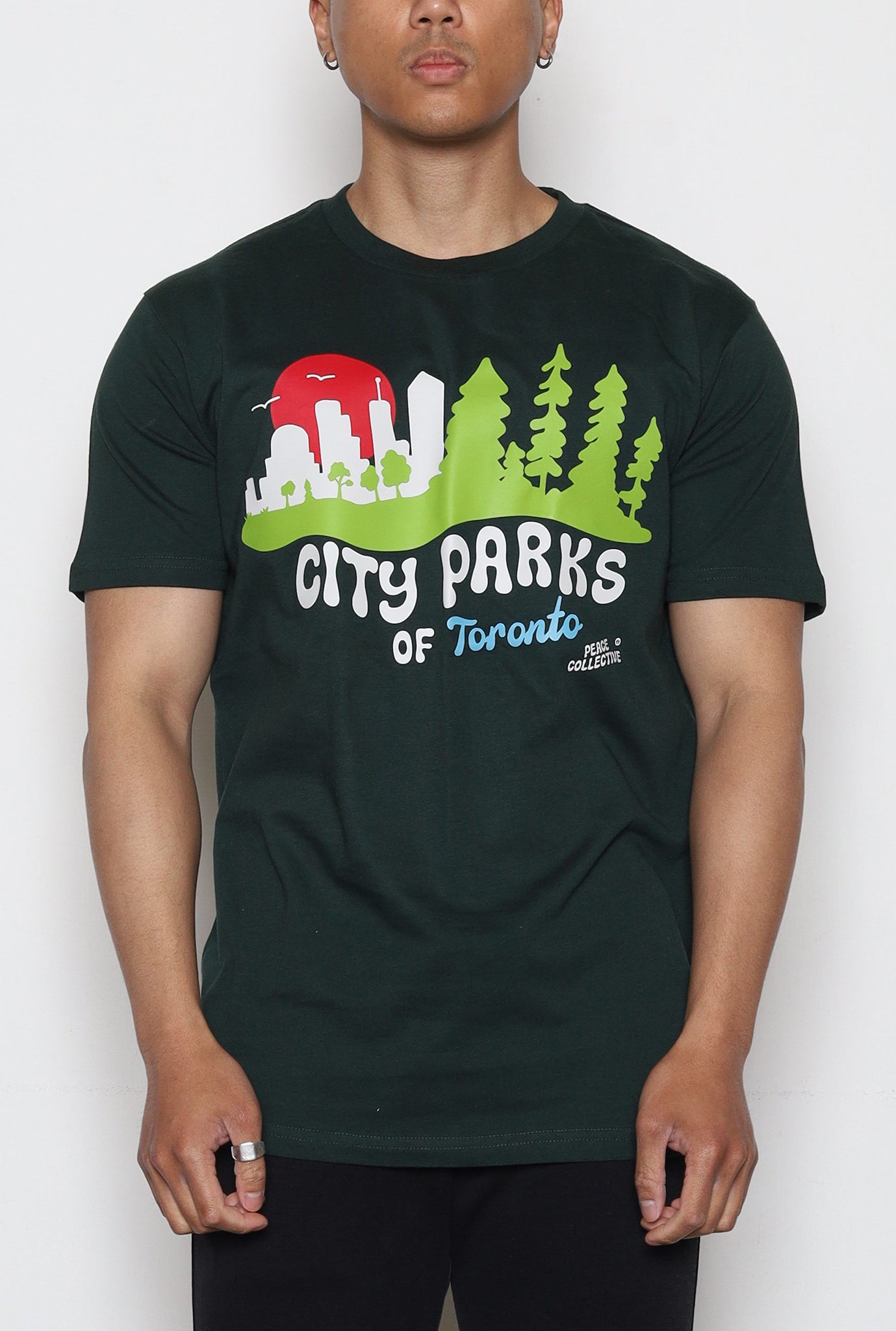 City Parks of Toronto - Pine Green