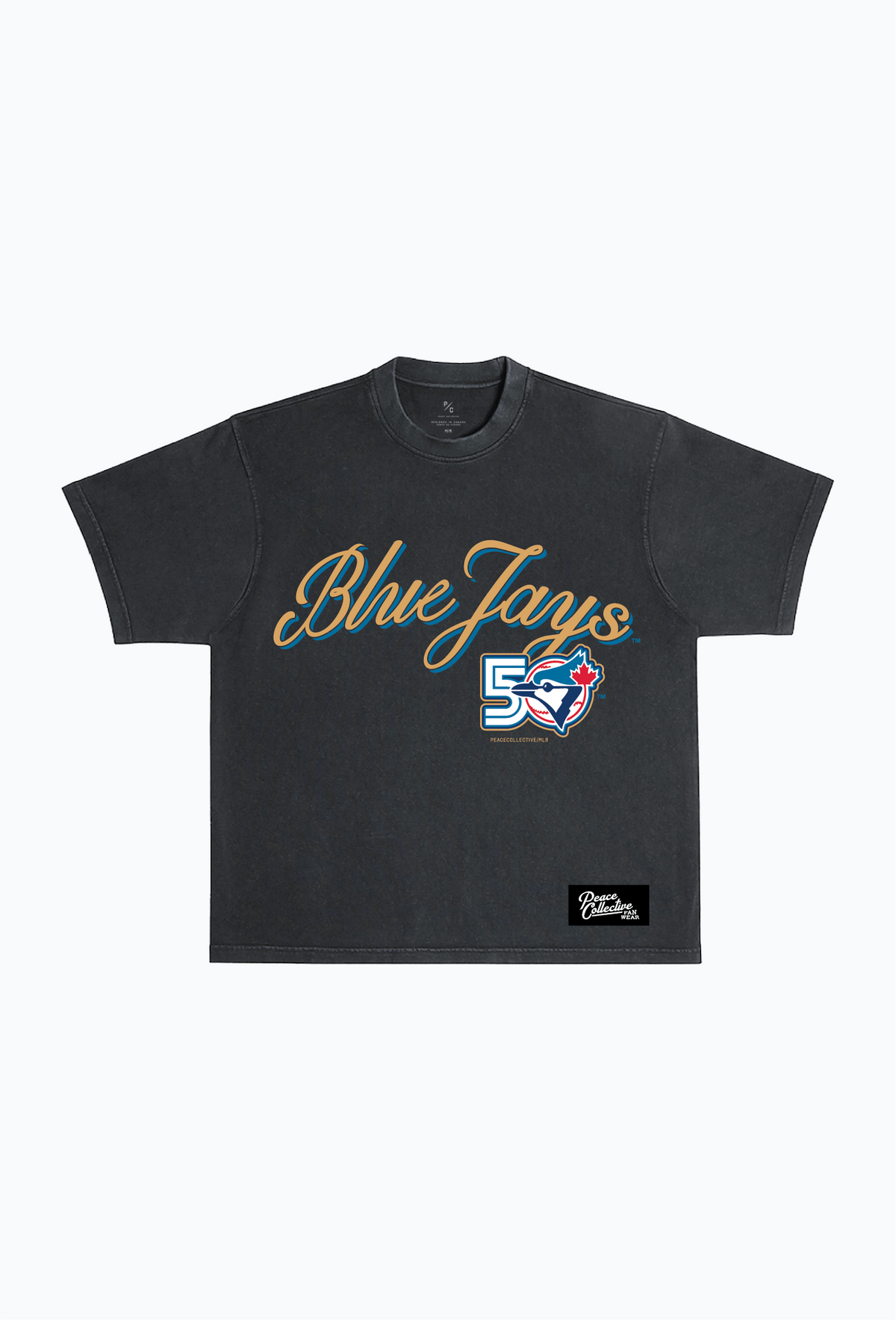 Toronto Blue Jays 50th Season Garment Dyed Heavyweight T-Shirt - Black