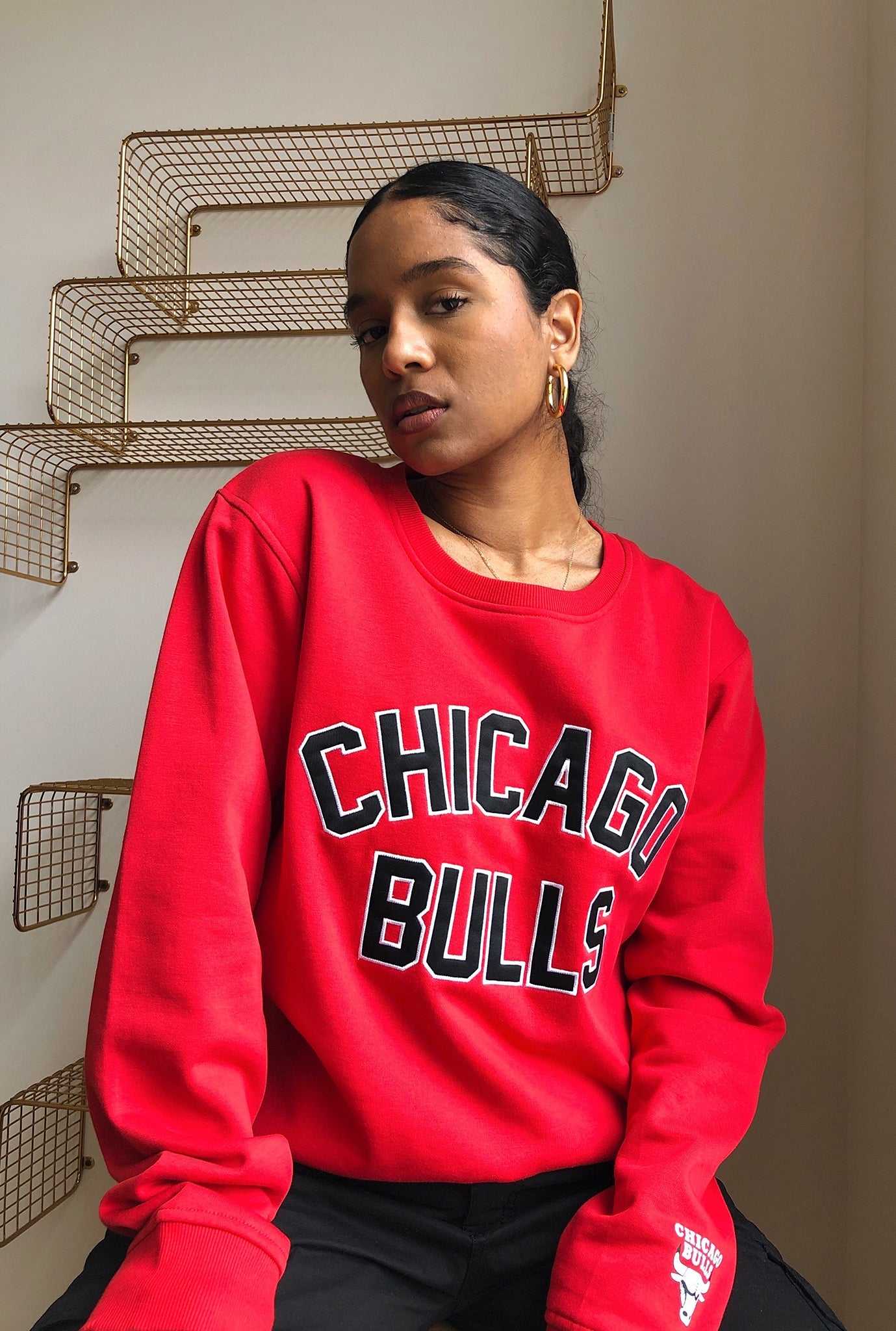 NBA 75th Chicago Bulls Collegiate Crewneck - Red