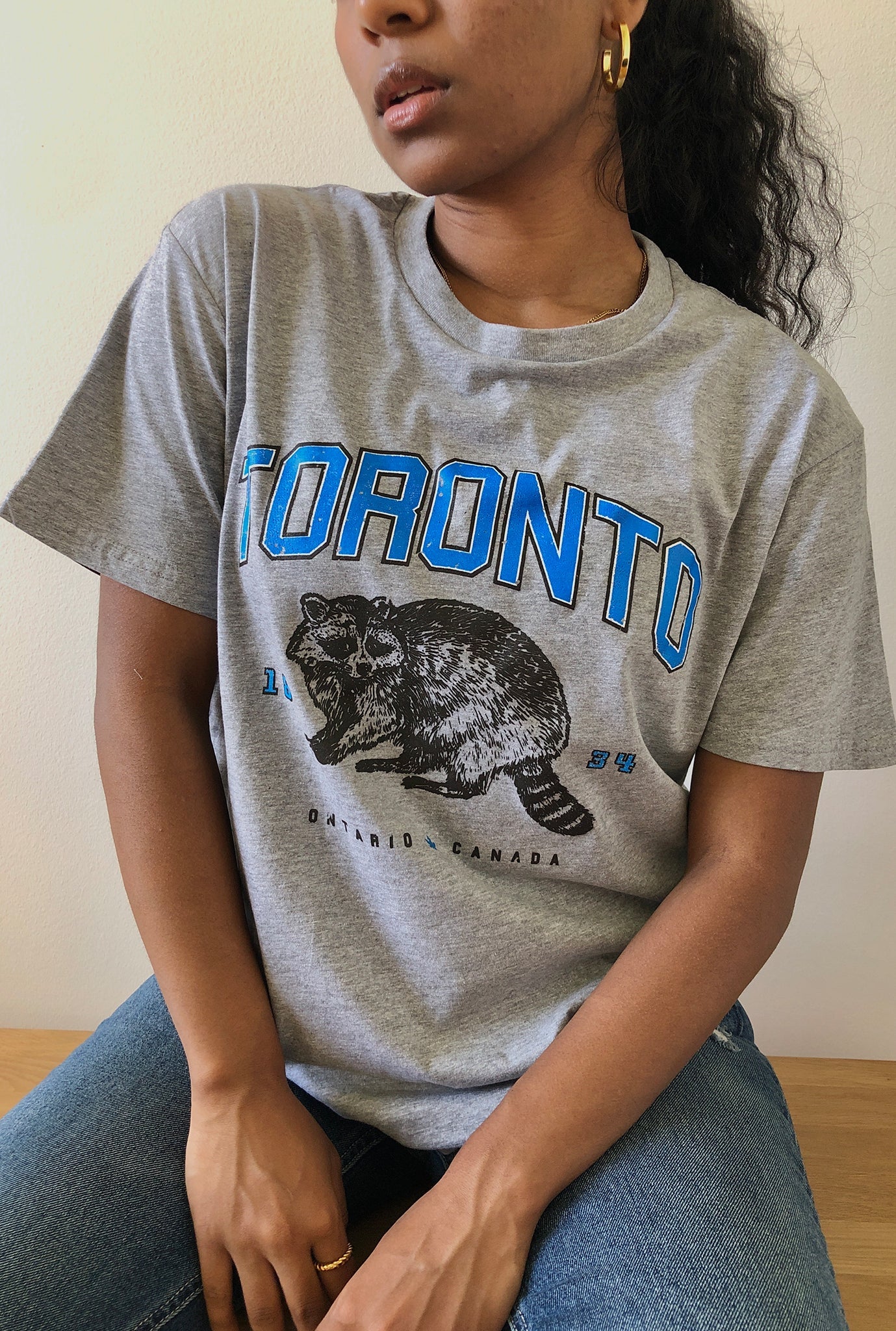 Toronto Vintage Raccoon T-Shirt - Grey