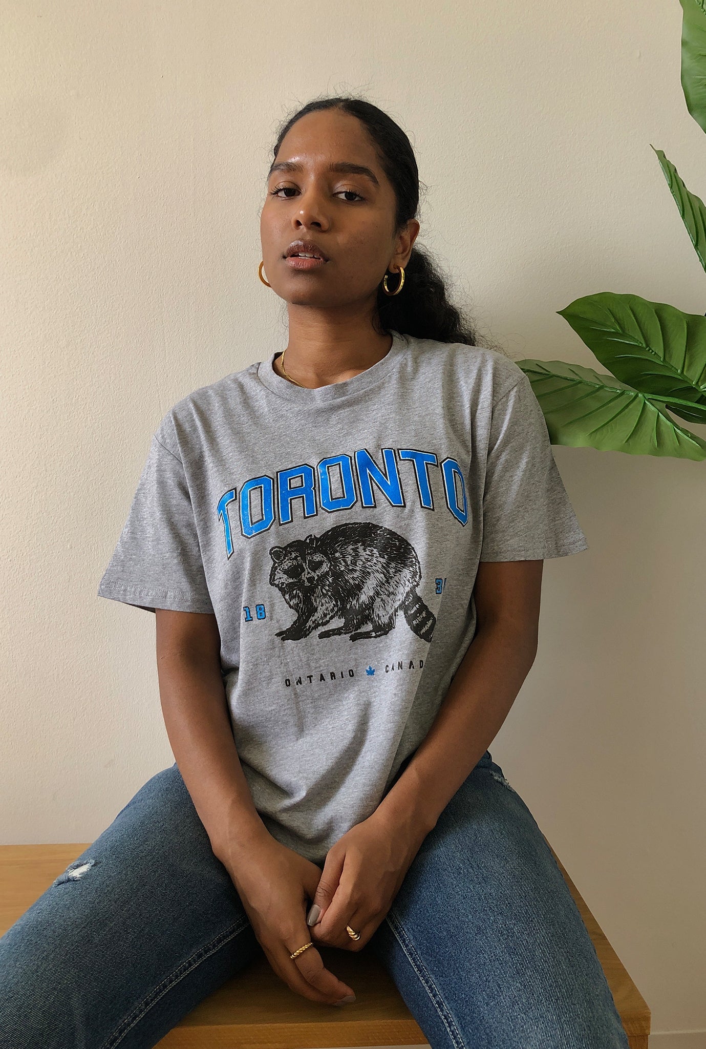 Toronto Vintage Raccoon T-Shirt - Grey