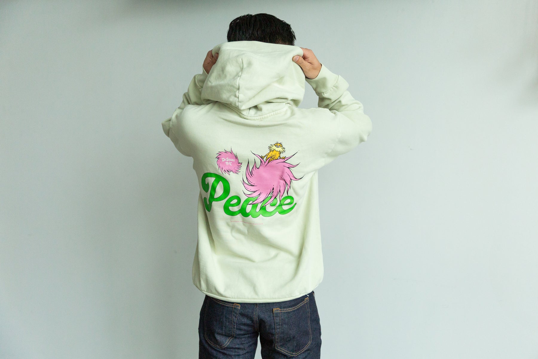 The Lorax Vintage Character Hoodie - Pistachio