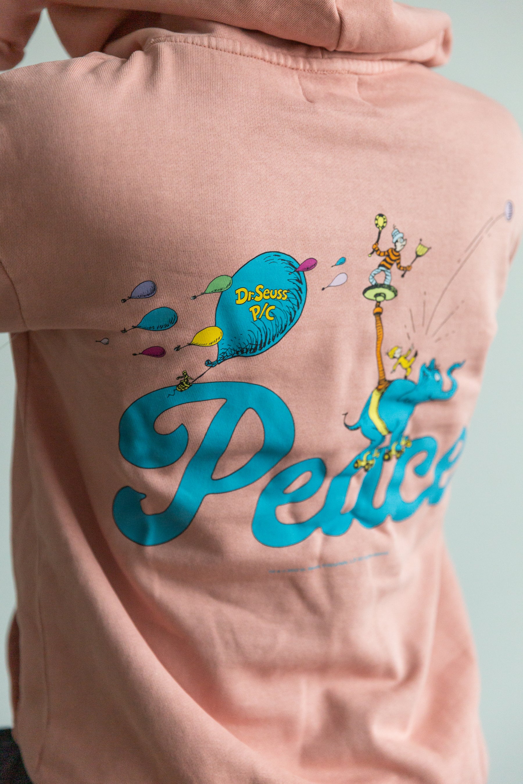 Oh The Places You'll Go Vintage Character Hoodie - Pink