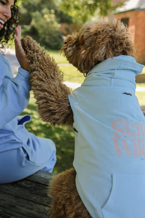 Stay Wild Dog Hoodie - Mint