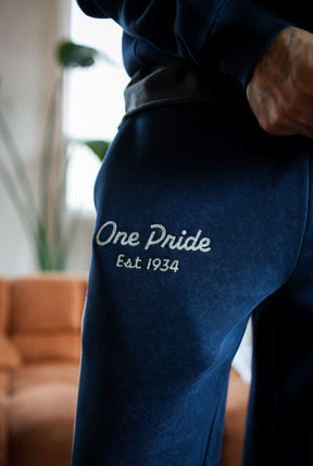 Detroit Lions Sport Through Texture Garment Dye Track Pants - True Navy