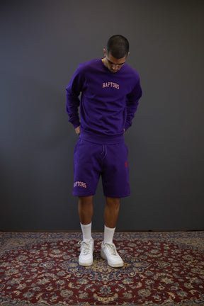 Toronto Raptors Playoffs Fleece Shorts - Purple