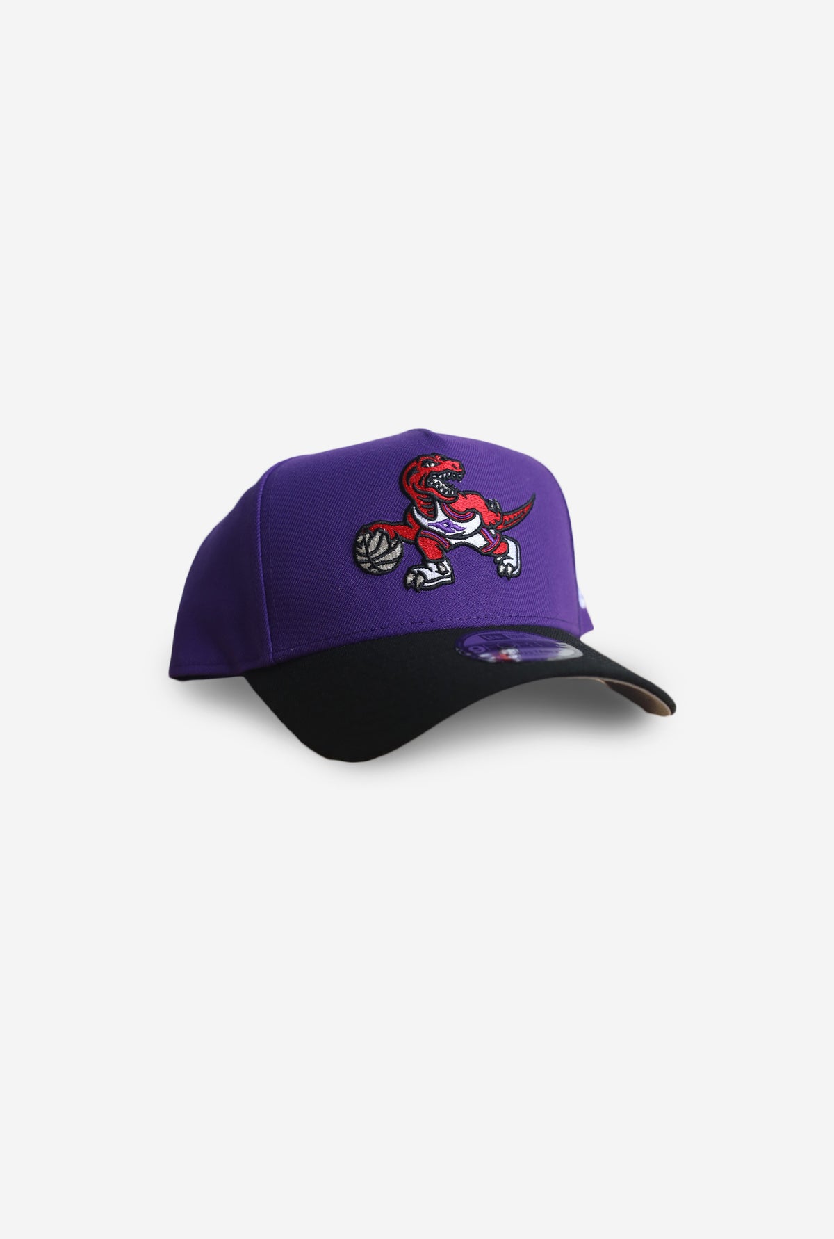 Toronto Raptors Dino 9FORTY A-Frame Cap - Purple