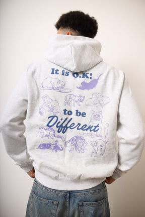 Sweat à capuche épais Be Different - Ash