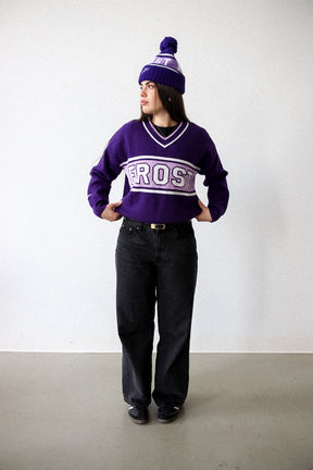 Minnesota Frost Womens V-Neck Knit Sweater - Purple