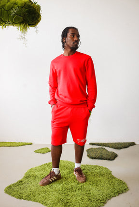 Peace Basics Crewneck - Red
