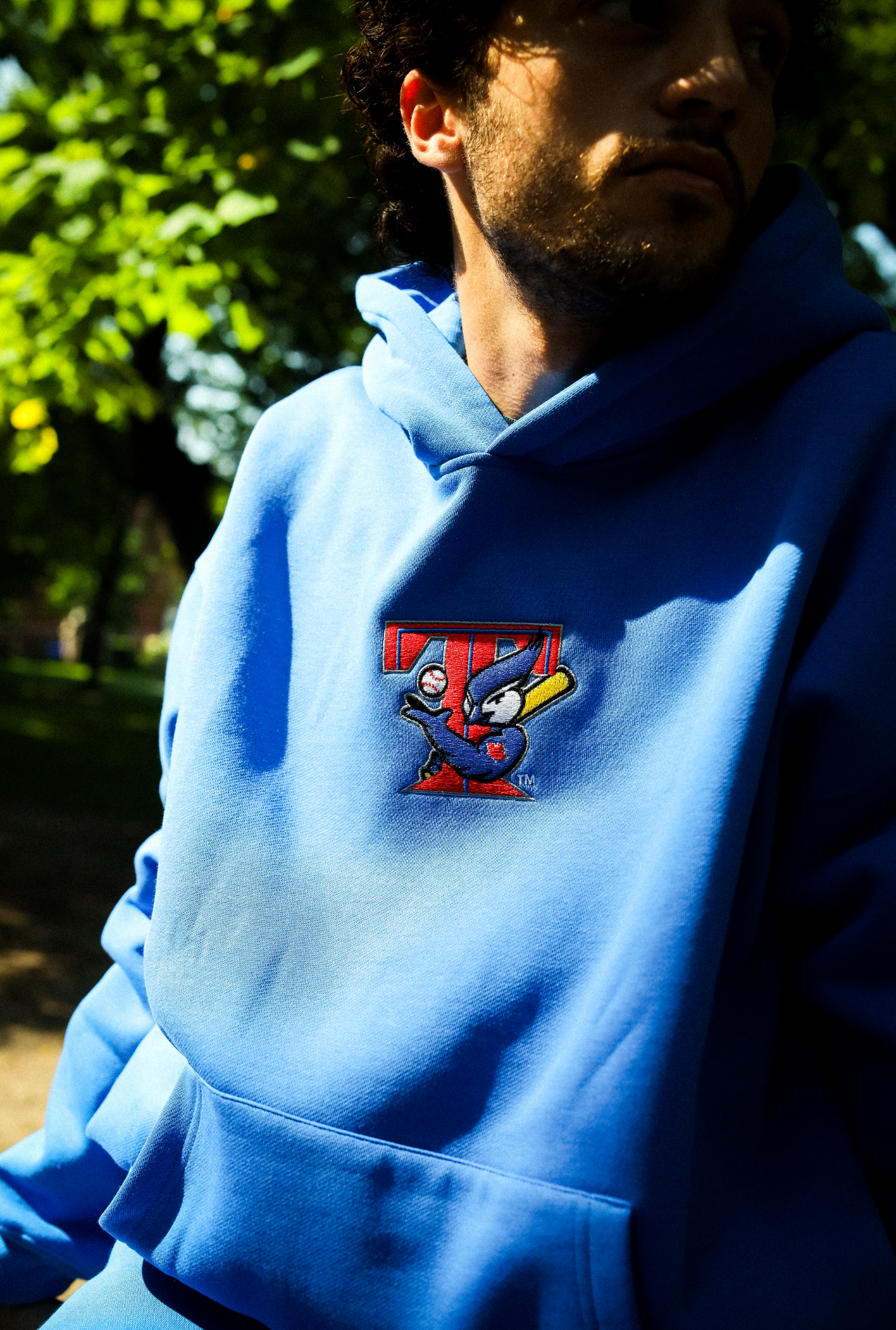 Sweat à capuche vintage épais des Blue Jays de Toronto - Bleu roi