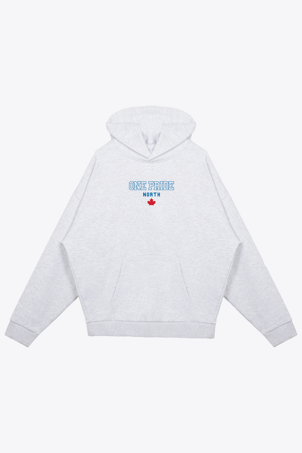 Detroit Lions One Pride North Heavyweight Hoodie - Ash