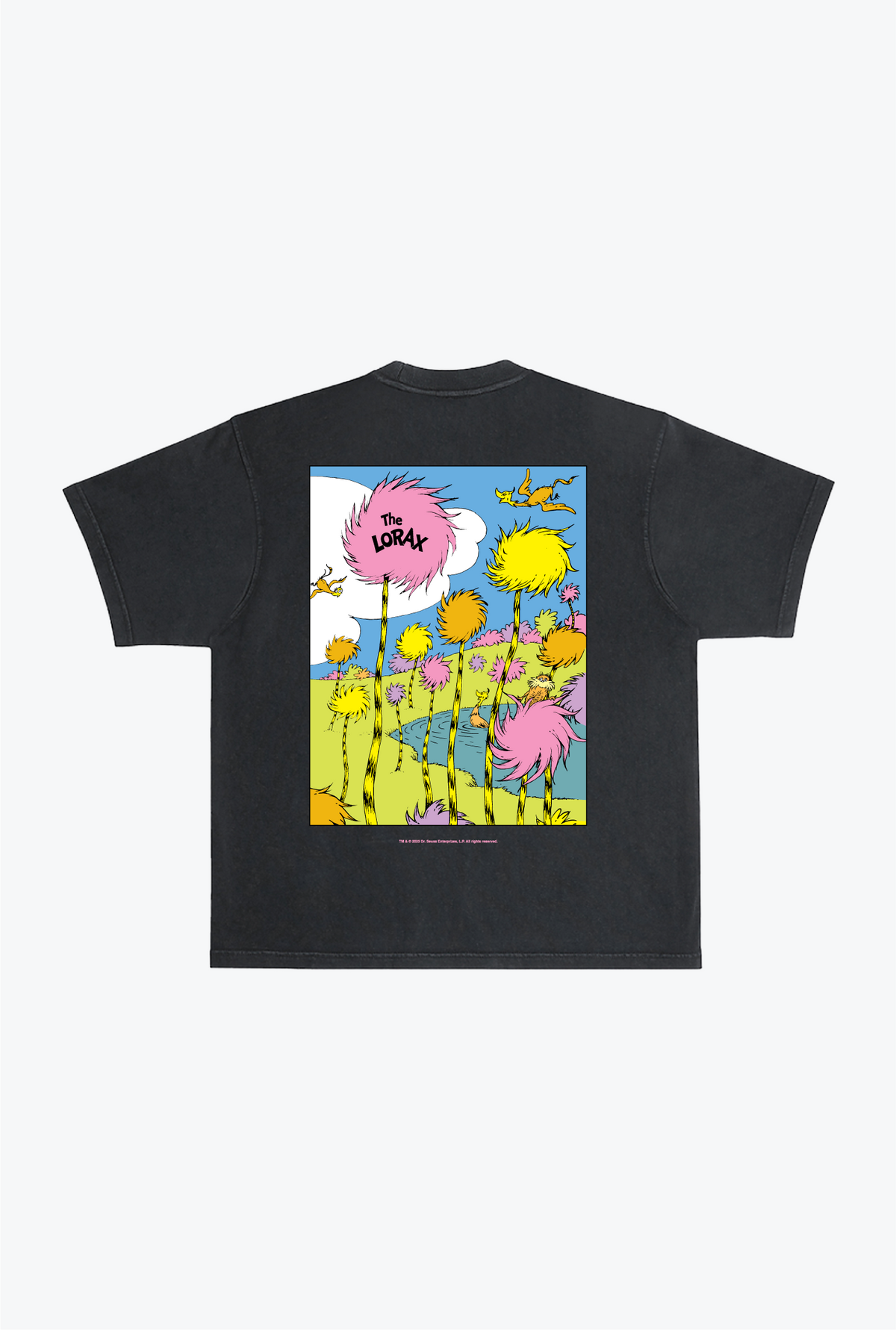 The Lorax Quote T-Shirt - Pigment Dye Black