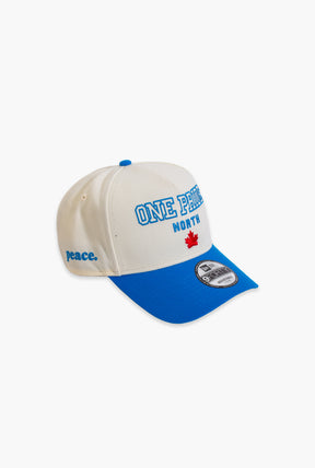 Detroit Lions One Pride North 9FORTY A-Frame Adjustable Cap - Ivory