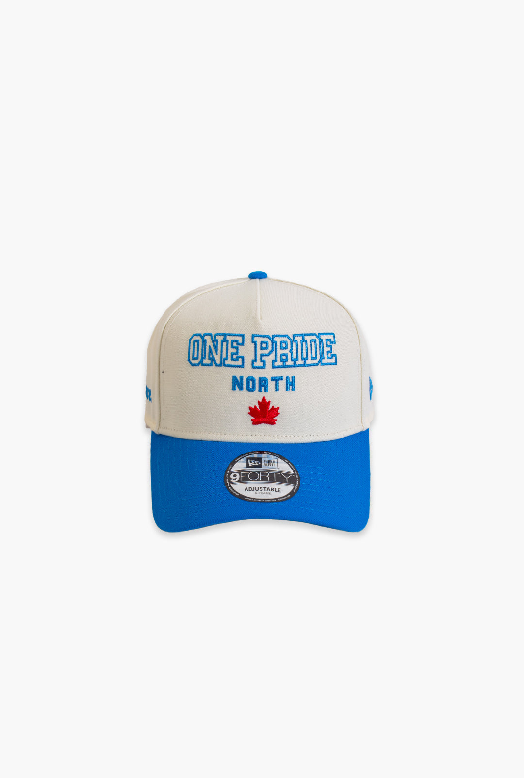 Detroit Lions One Pride North 9FORTY A-Frame Adjustable Cap - Ivory