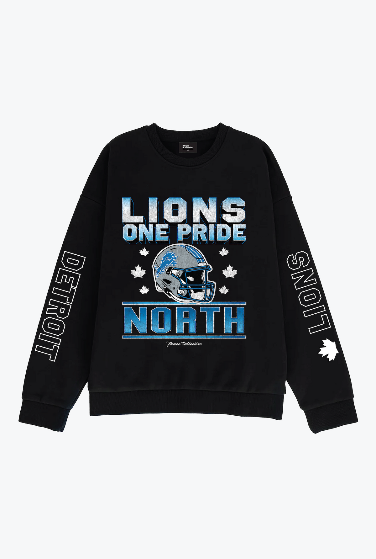 Detroit Lions One Pride North Heavyweight Crewneck - Black