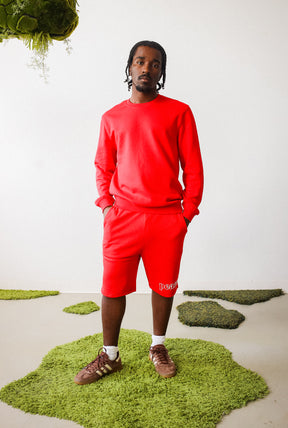 Peace Basics Fleece Shorts - Red