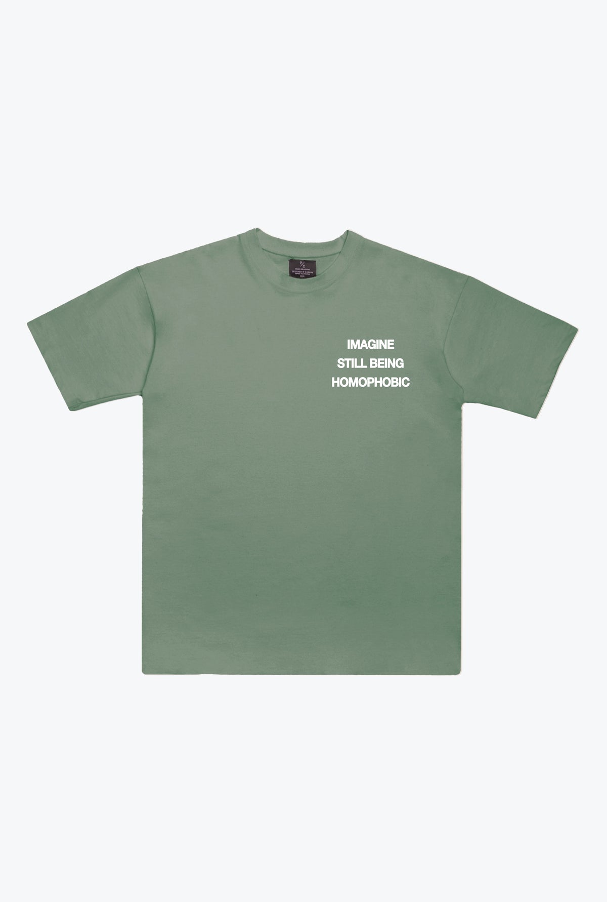 Imagine Still Being Homophobic Heavyweight T-Shirt - Sage Green