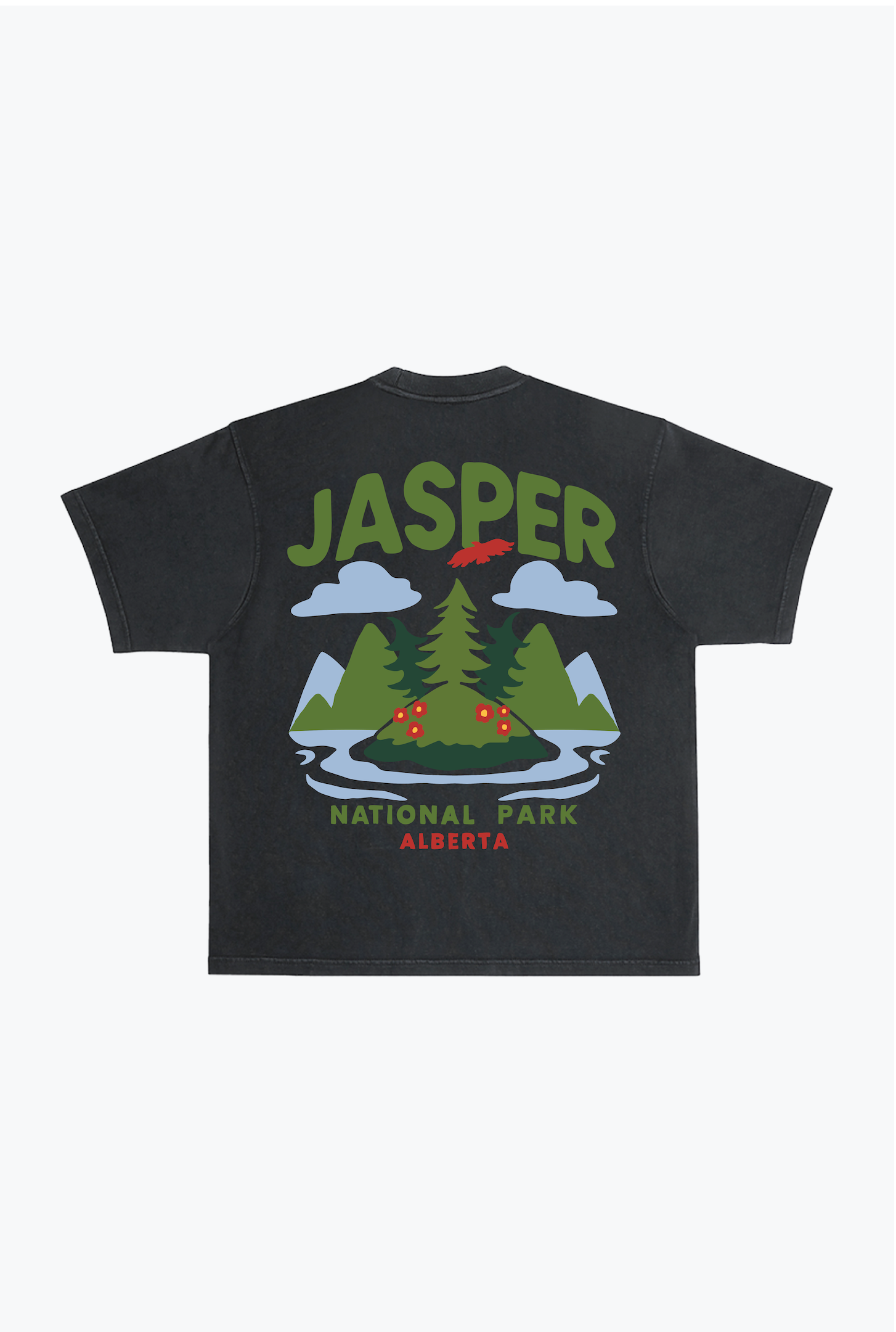 Camiseta Heavyweight Garment Dyed Jasper National Park - Negra