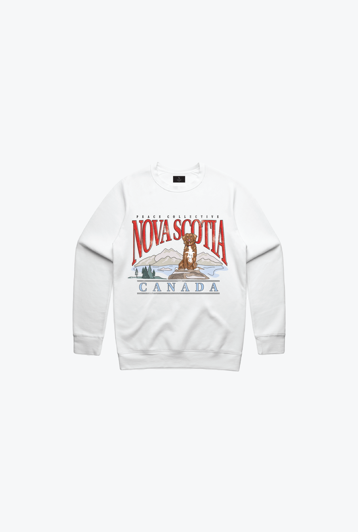 Nova Scotia Retriever Vintage Kids Crewneck - White