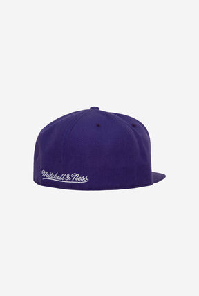 Toronto Raptors Team Ground 2.0 Fitted HWC - Purple
