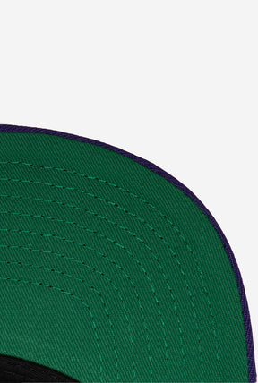 Toronto Raptors Team Ground 2.0 Fitted HWC - Purple