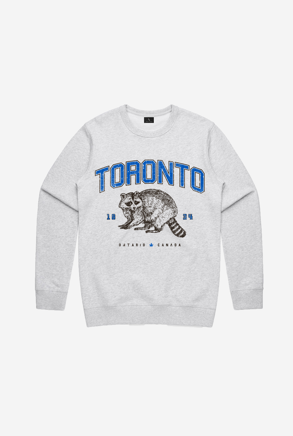 Toronto Raccoon Vintage Crewneck - Grey