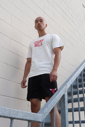 Chicago Bulls Heavyweight T-Shirt - Natural