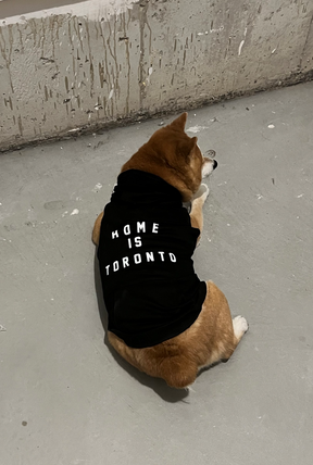 Home is Toronto Dog Hoodie - Black